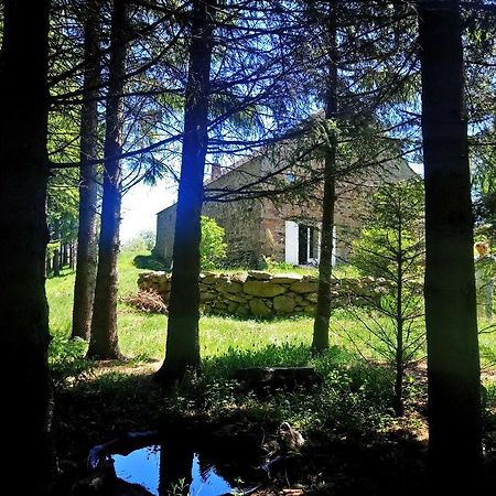 La Ferme Du Crie Bed & Breakfast Chaudeyrolles Ngoại thất bức ảnh